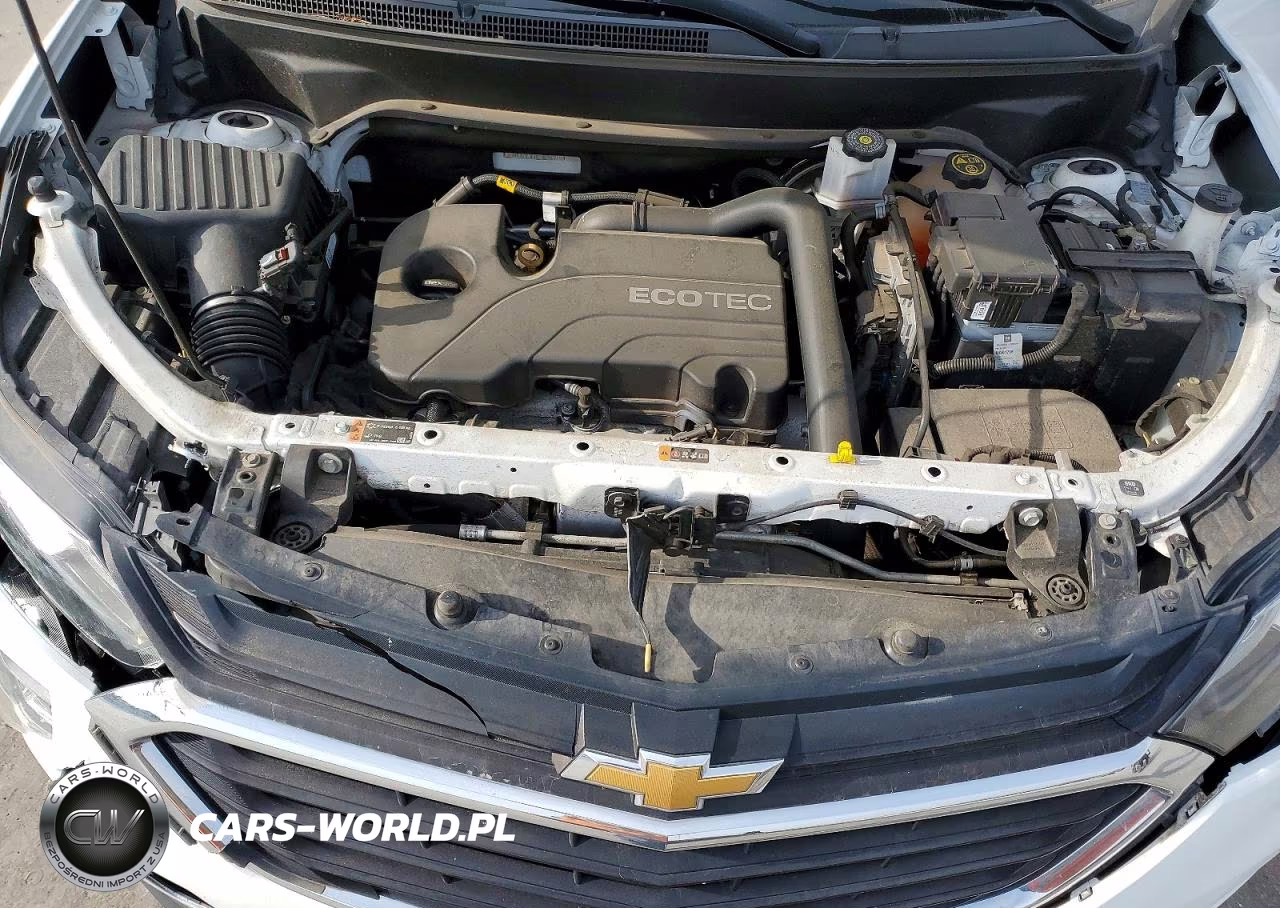 2019 Chevrolet Equinox Ls VIN:3GNAXHEV7KS638915 - 12