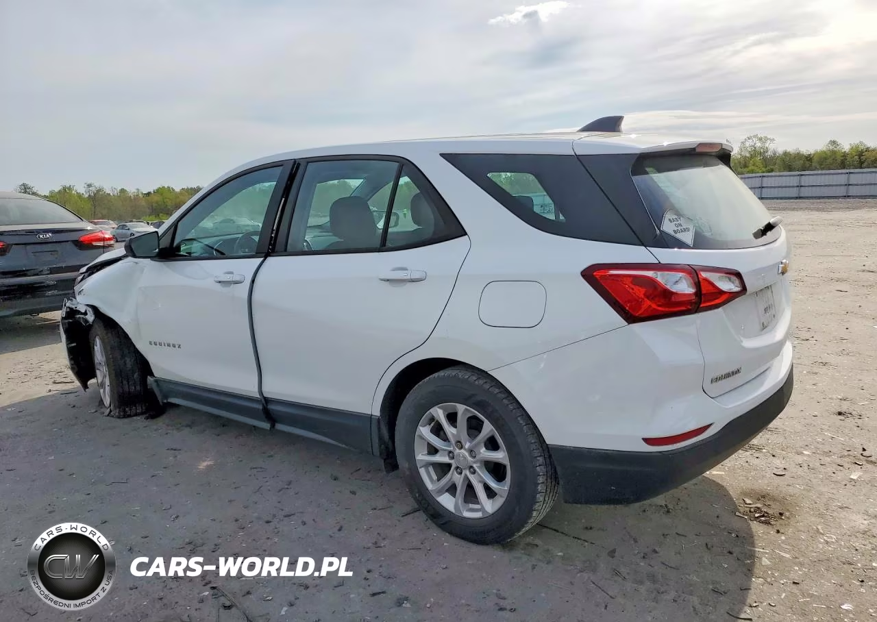 2019 Chevrolet Equinox Ls VIN:3GNAXHEV7KS638915 - 2