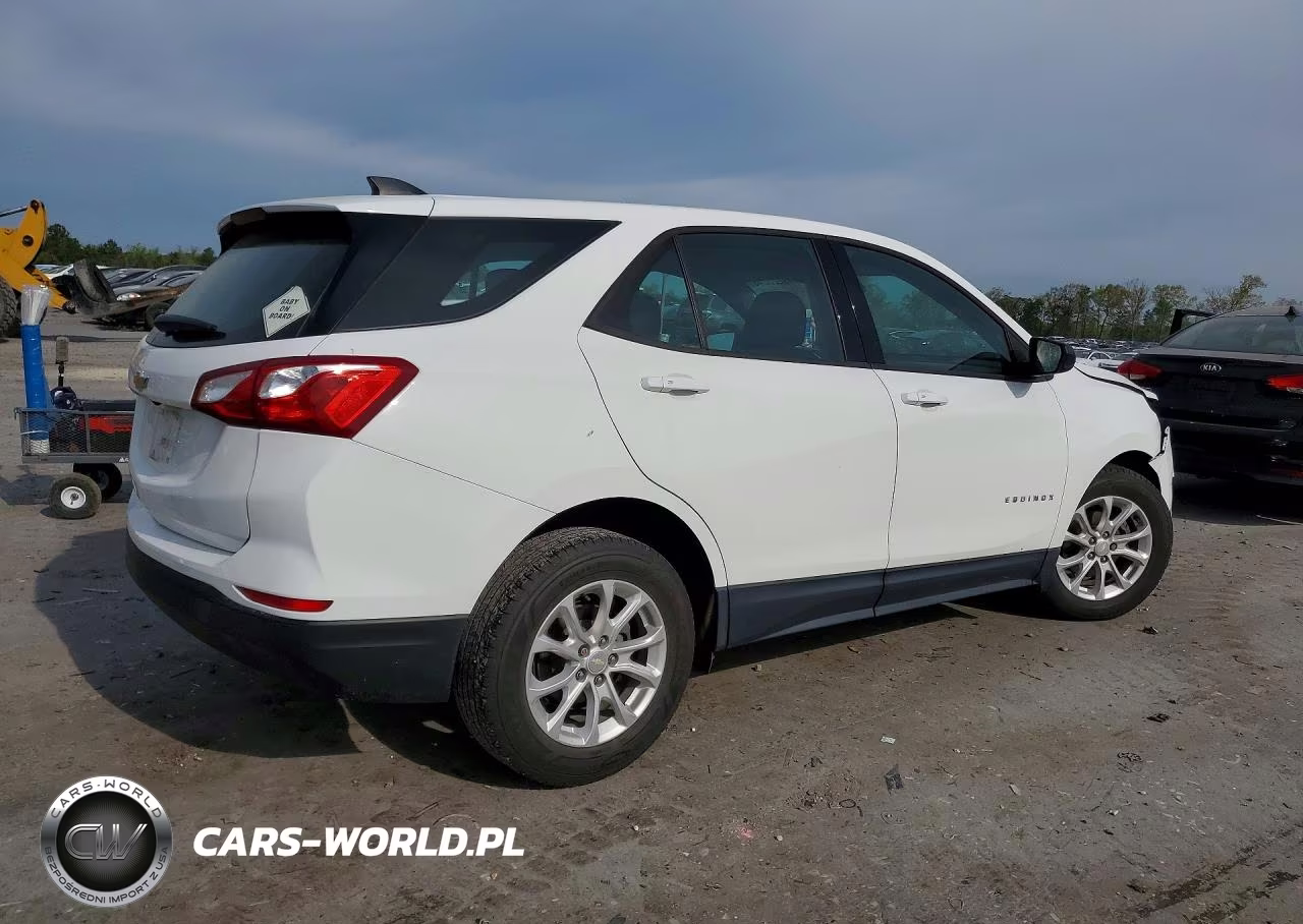 2019 Chevrolet Equinox Ls VIN:3GNAXHEV7KS638915 - 3