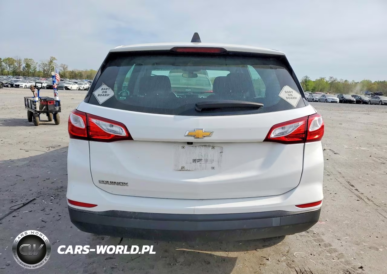2019 Chevrolet Equinox Ls VIN:3GNAXHEV7KS638915 - 6