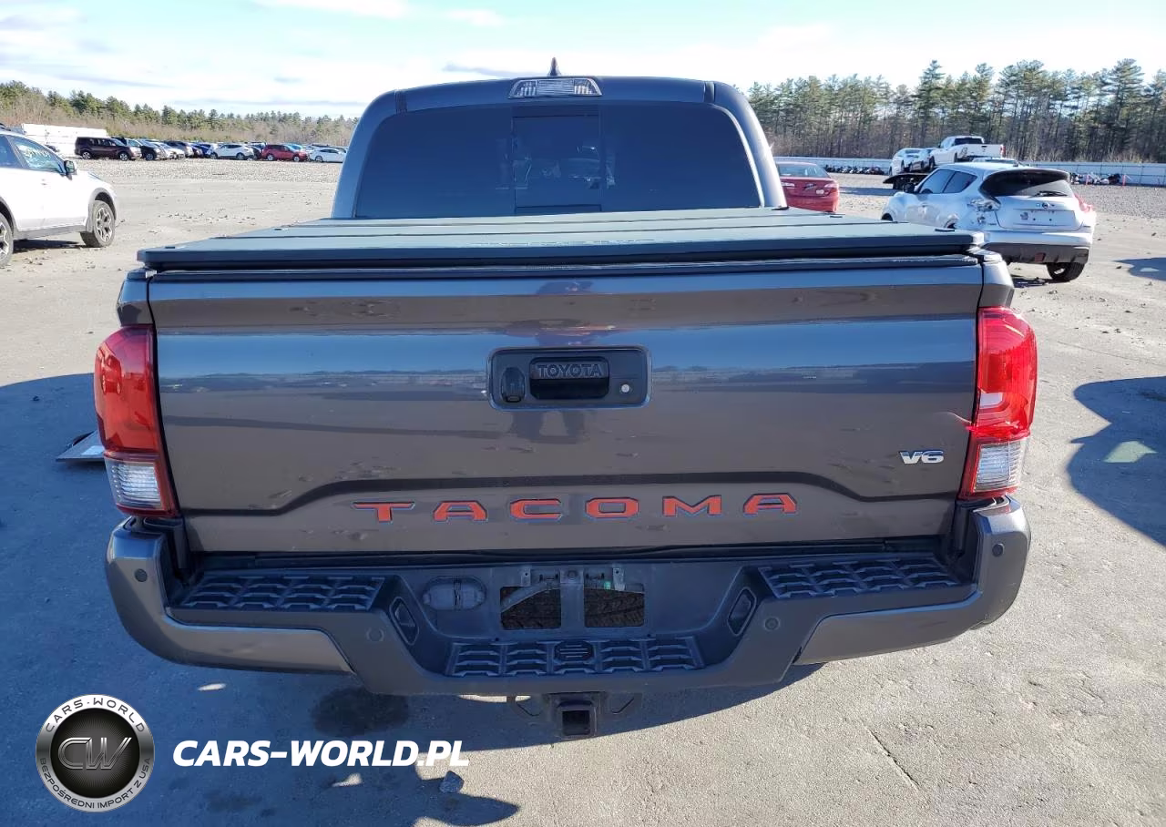 2018 Toyota Tacoma Double Cab VIN:5TFCZ5AN3JX136934 - 6