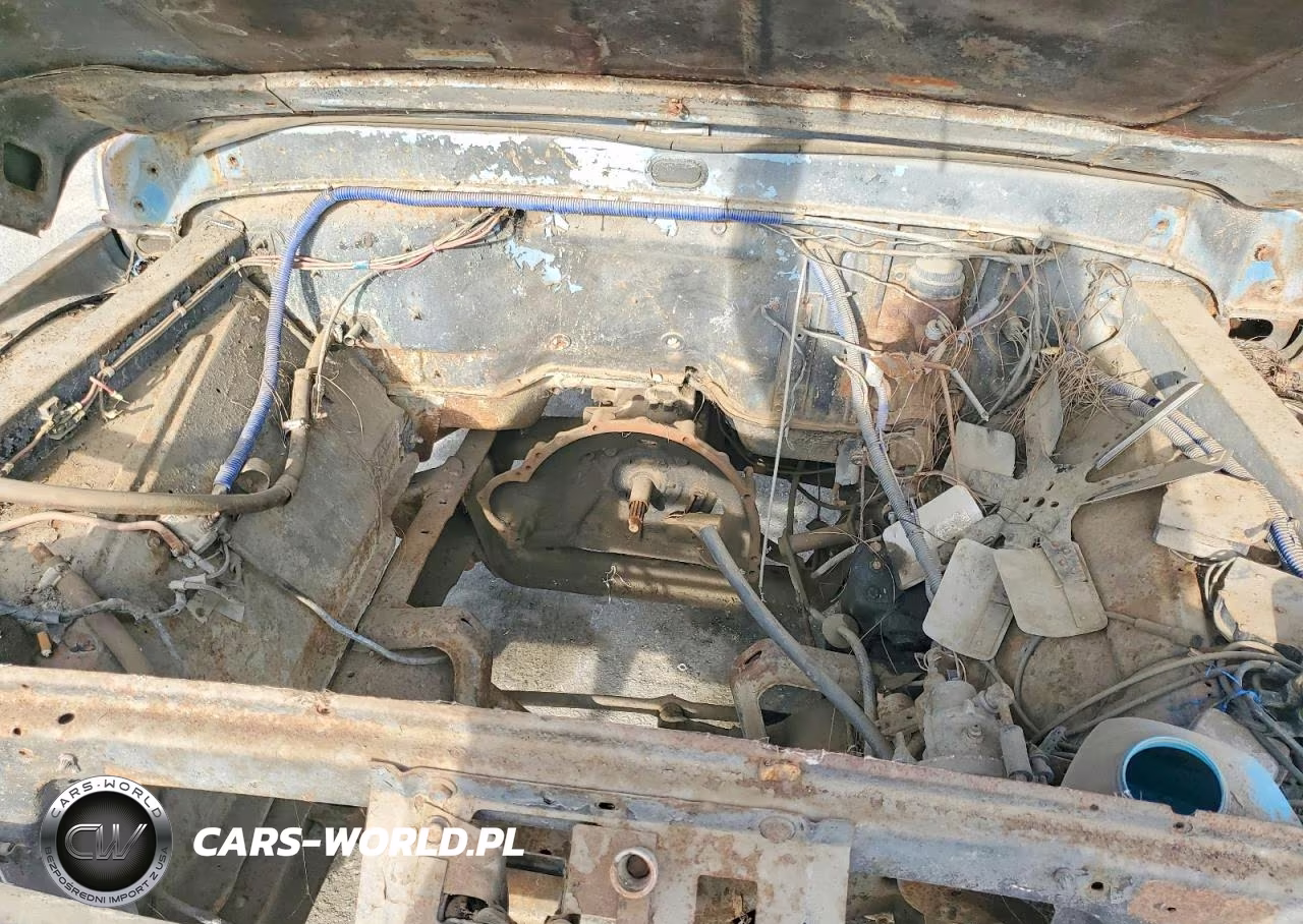 1966 Ford - Ford F250 VIN:F25YR860171 - 11