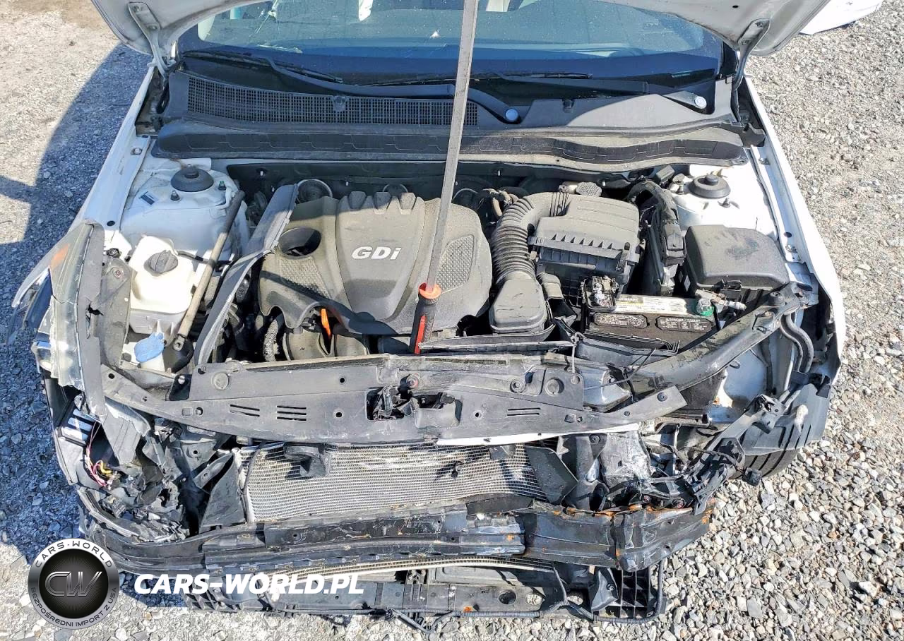 KIA OPTIMA VIN:5XXGM4A72DG234036 - 11