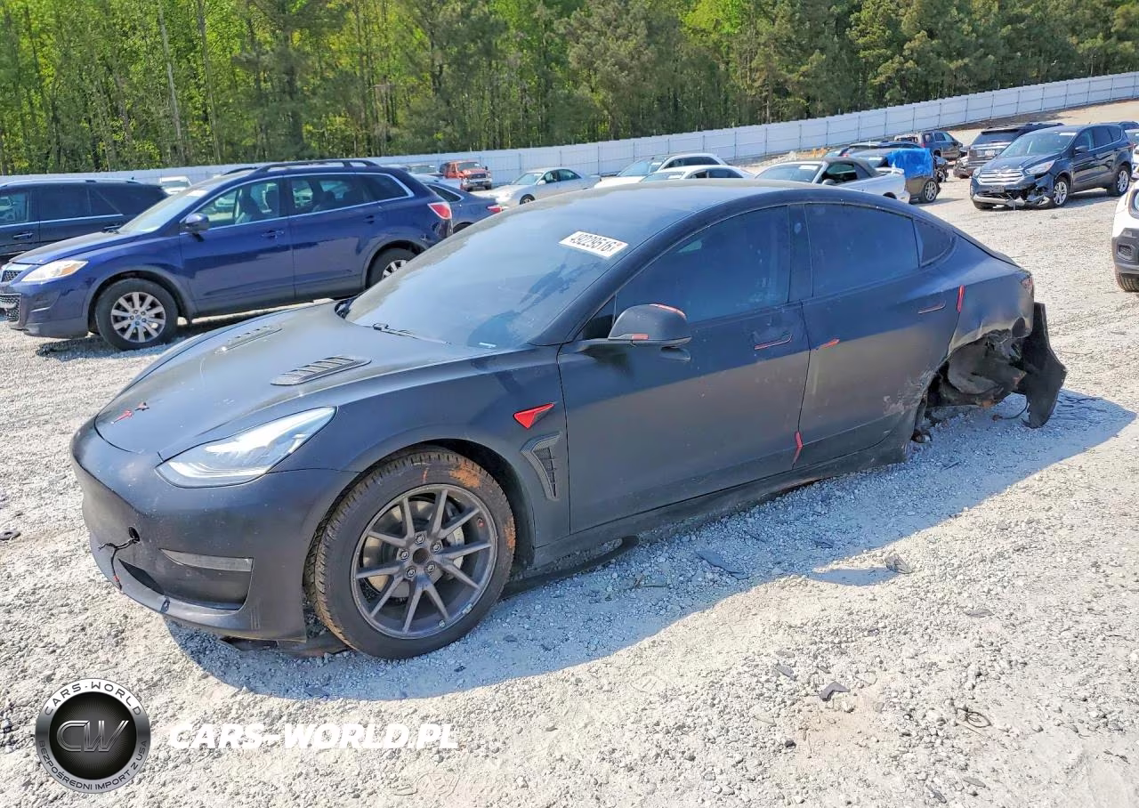 2019 Tesla Model 3