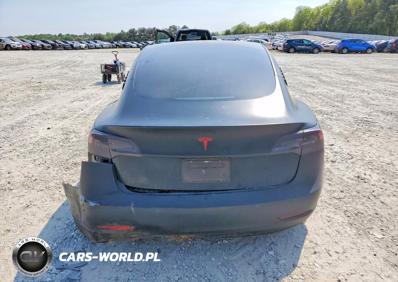 2019 Tesla Model 3 VIN:5YJ3E1EA1KF403849 - 6