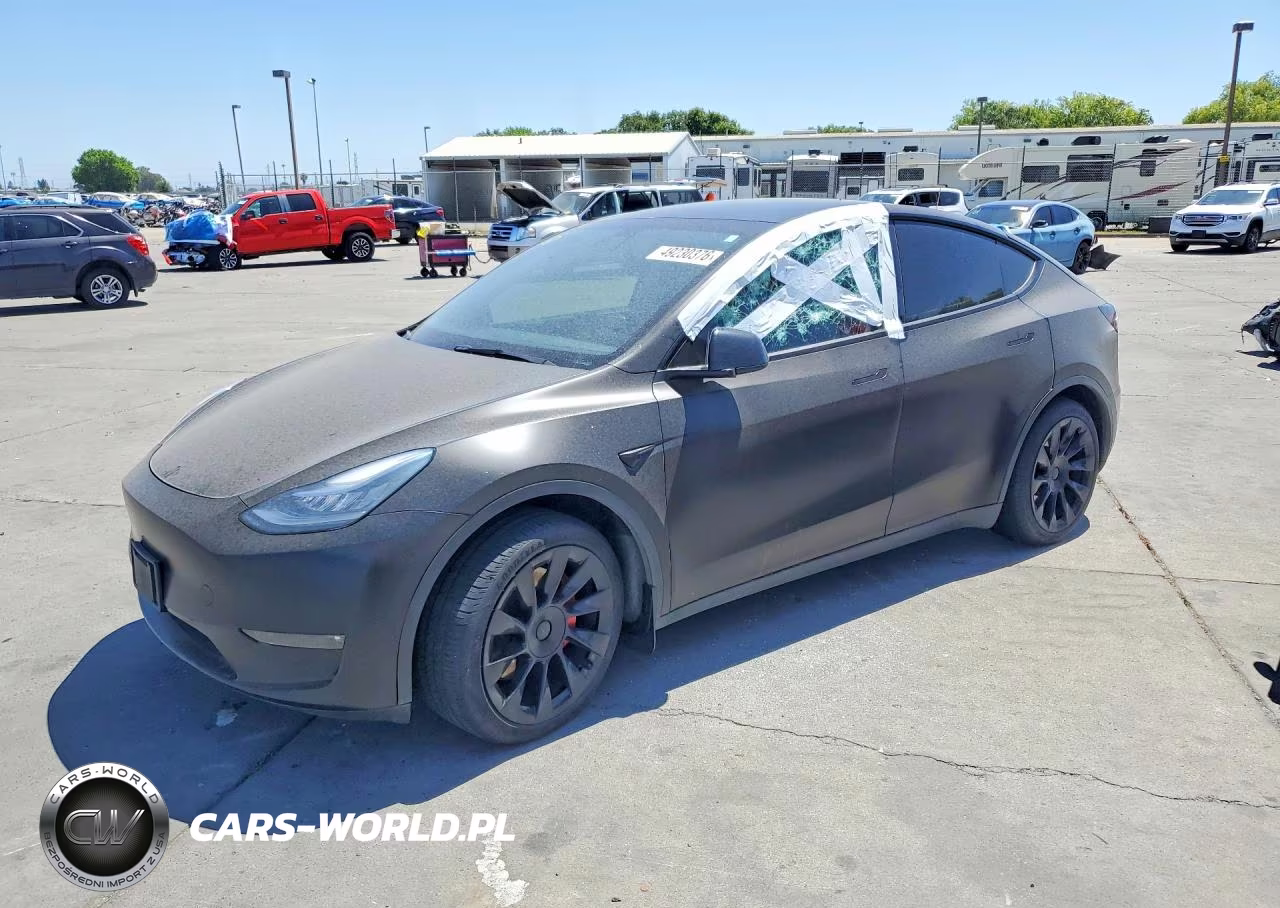 2021 Tesla Model Y