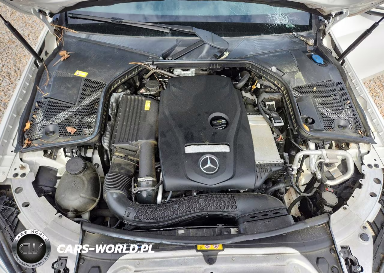 2016 Mercedes-Benz C 300 VIN:55SWF4JB4GU162823 - 11