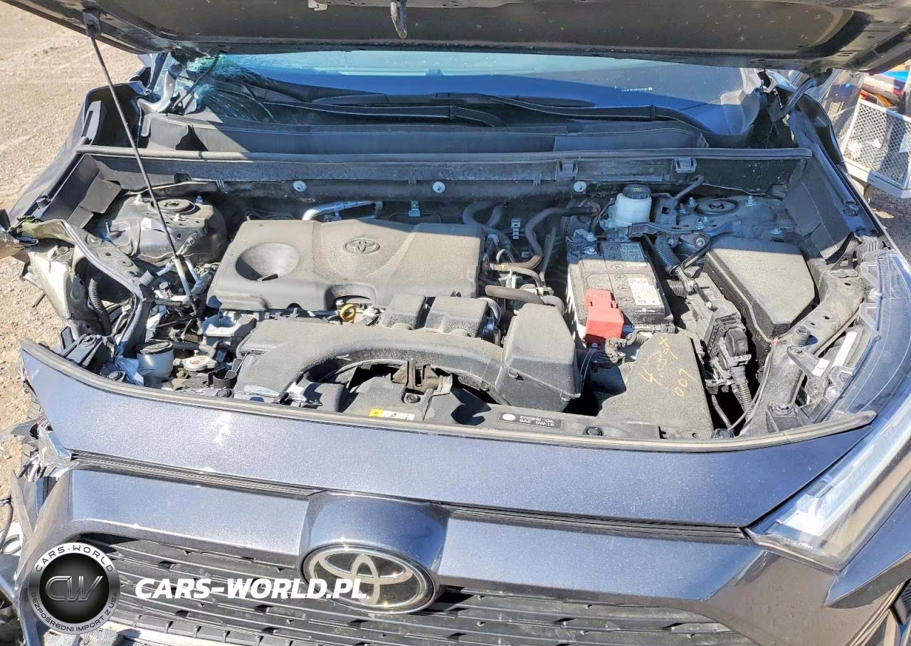 2023 Toyota Rav4 Xle VIN:2T3P1RFV5PW376461 - 12