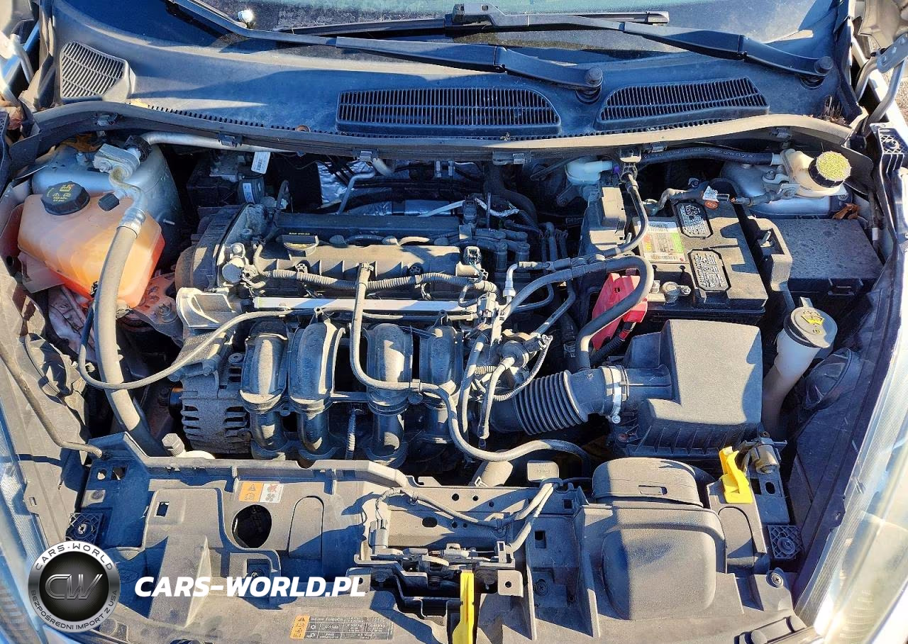 2014 Ford Fiesta Se VIN:3FADP4BJ8EM134761 - 11
