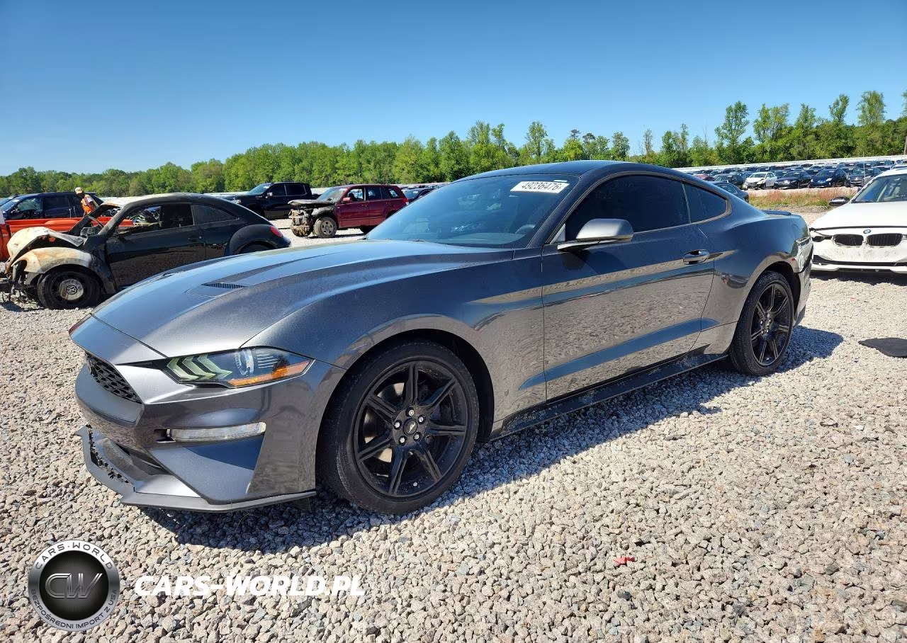 2019 Ford Mustang