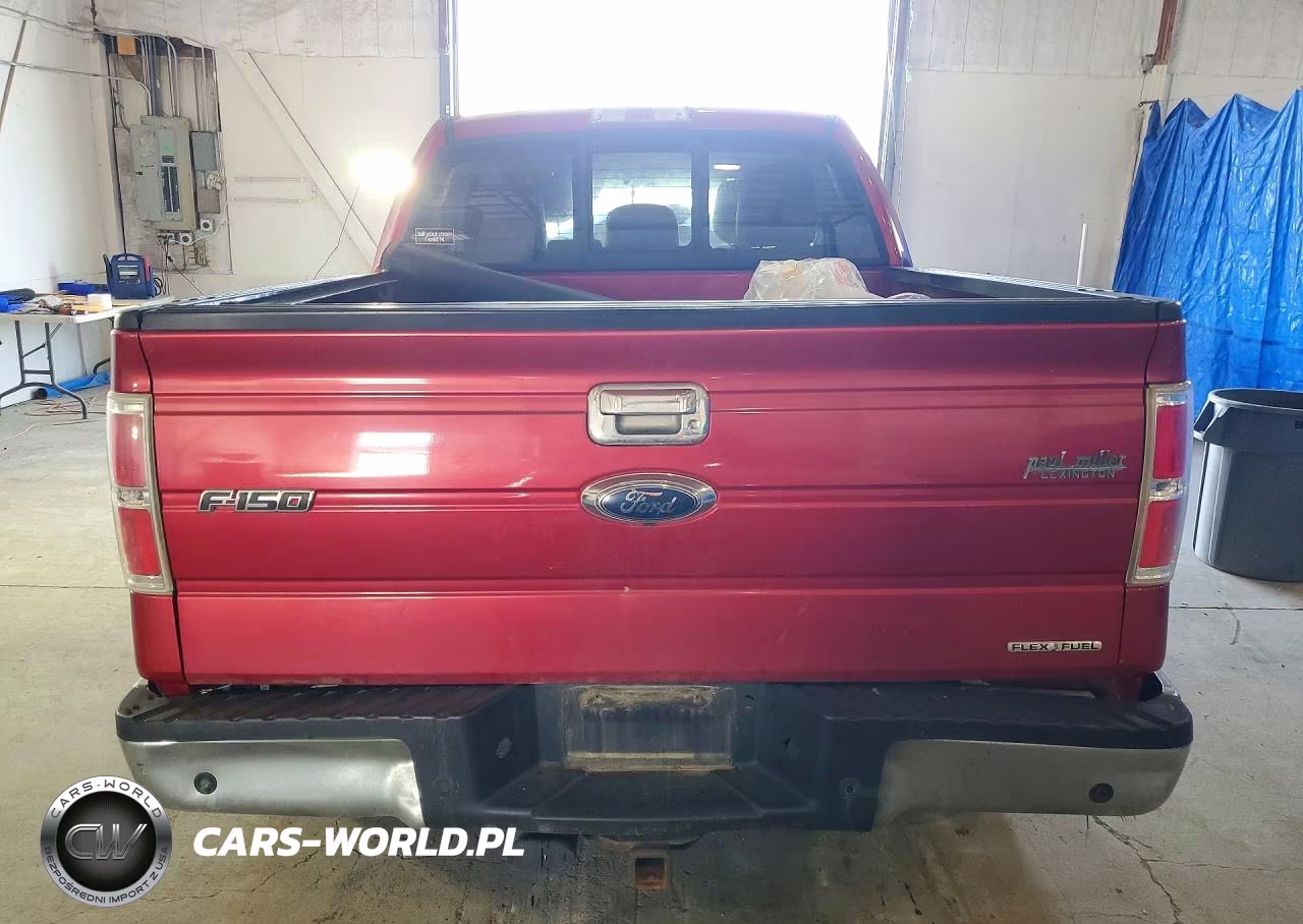 2011 Ford F150 Supercrew VIN:1FTFW1EF6BFA61252 - 6