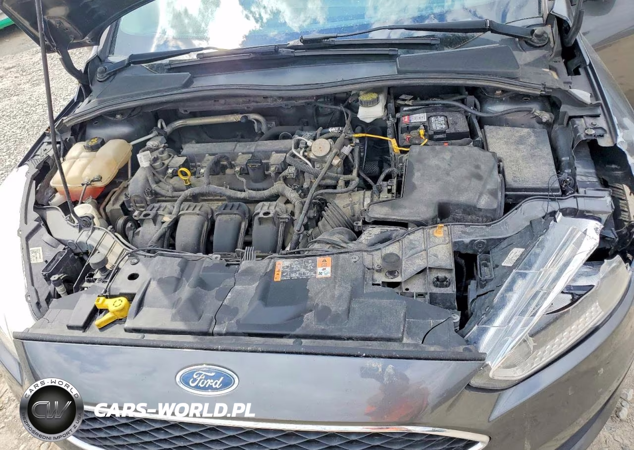 2017 Ford Focus Se VIN:1FADP3K21HL324748 - 11