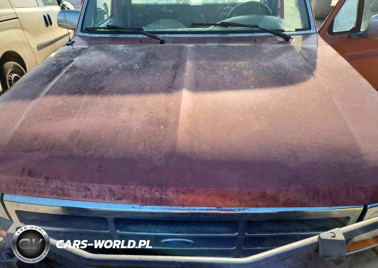 1995 Ford F150 VIN:1FTDF15Y1SNB23574 - 11