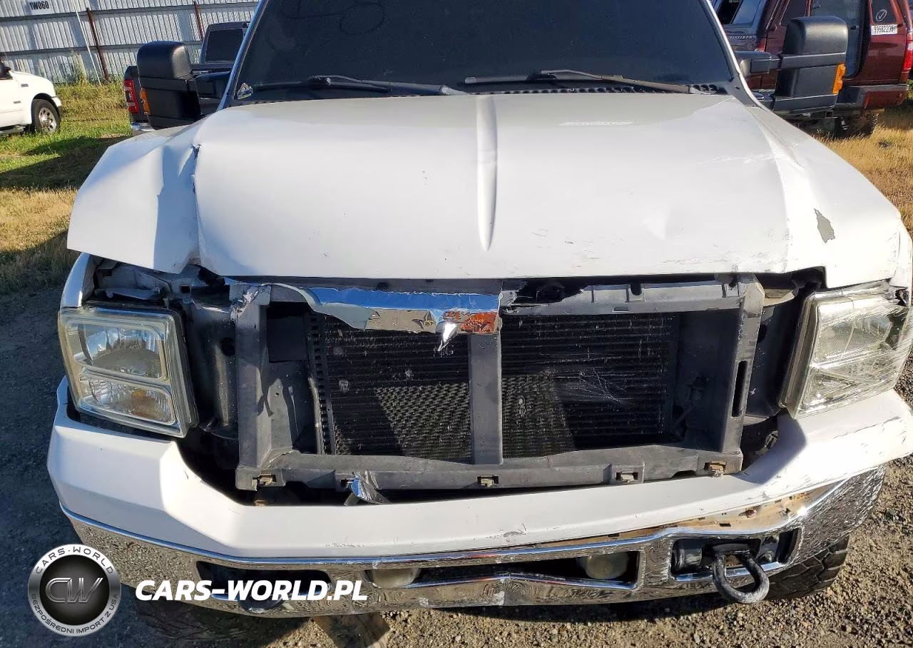 2006 Ford F250 Super Duty VIN:1FTSW21P86EB32420 - 11