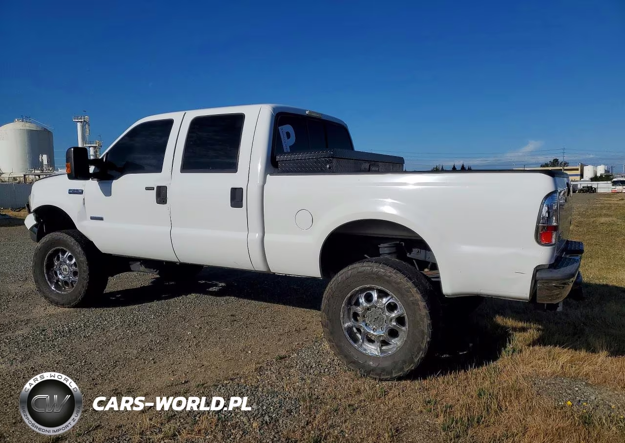 2006 Ford F250 Super Duty VIN:1FTSW21P86EB32420 - 2
