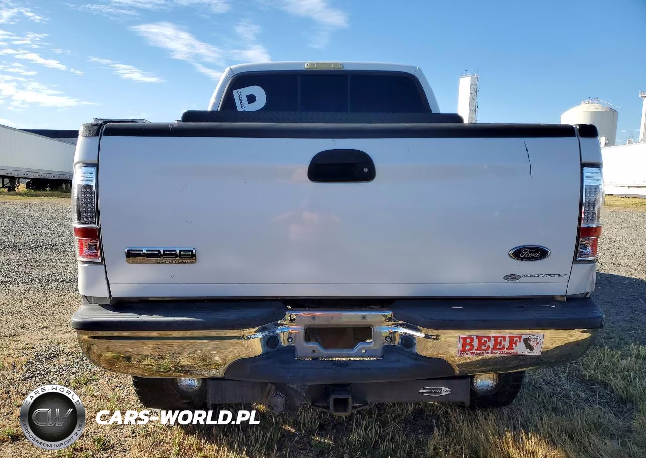 2006 Ford F250 Super Duty VIN:1FTSW21P86EB32420 - 6