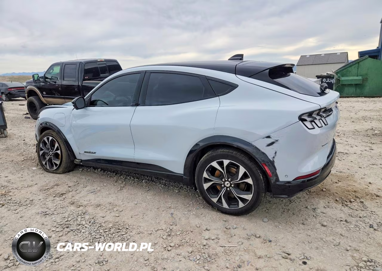 2021 Ford Mustang Mach-E Premium VIN:3FMTK3SU3MMA10190 - 2