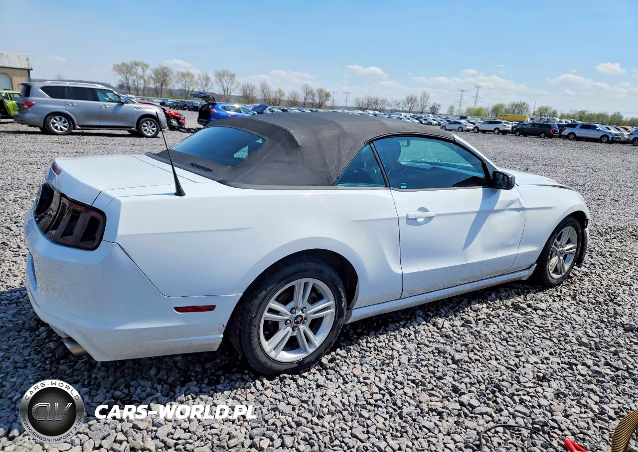 2014 Ford Mustang VIN:1ZVBP8EM3E5313923 - 3
