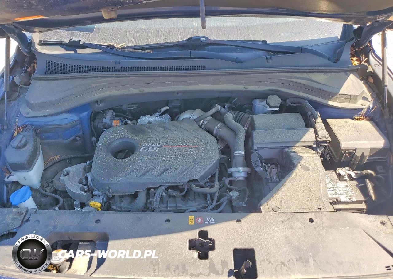 2020 Hyundai Santa Fe Sel 2.0T VIN:5NMS33AA9LH151769 - 12