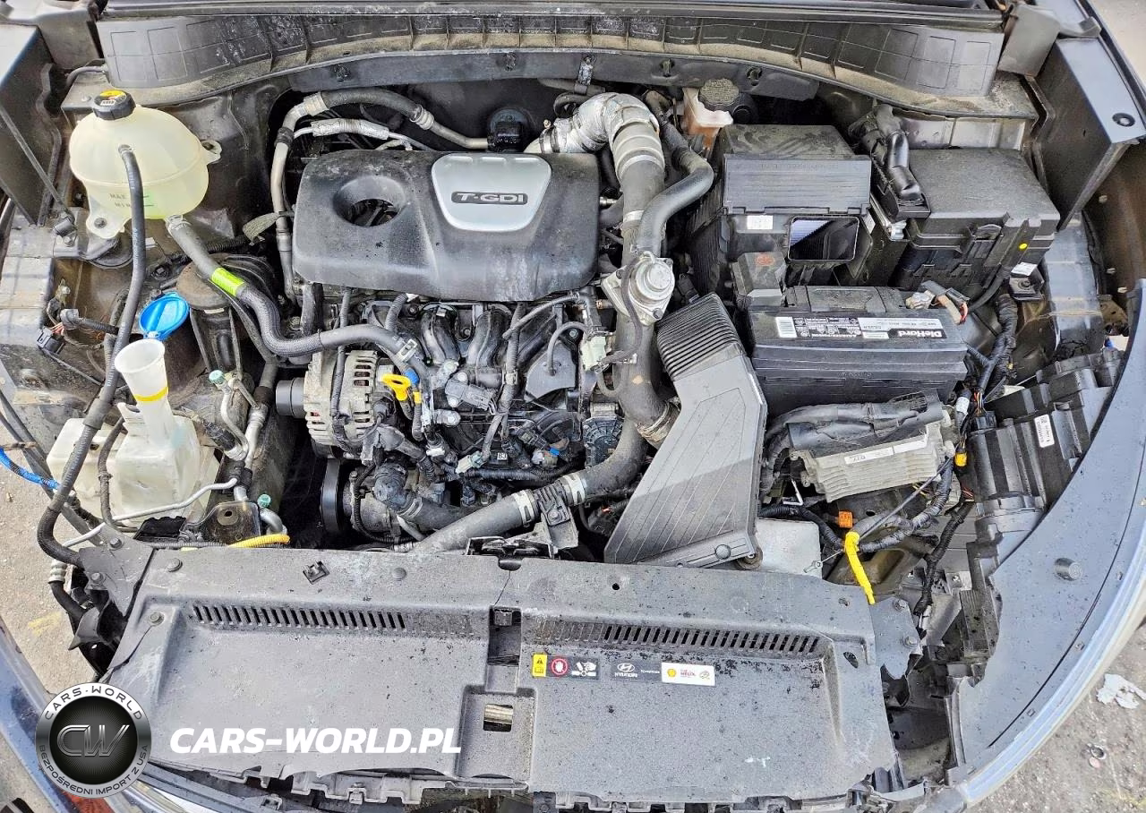 2018 Hyundai Tucson Limited VIN:KM8J33A23JU622675 - 12