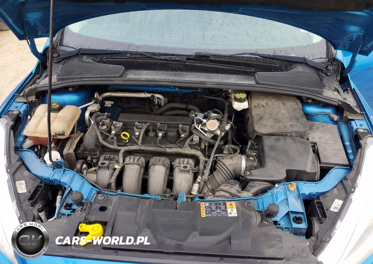 2017 Ford Focus Se VIN:1FADP3K26HL234172 - 11