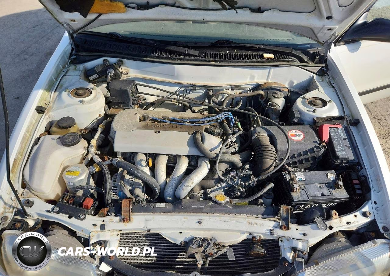 1999 Chevrolet Geo Prizm Base VIN:1Y1SK5488XZ408604 - 11
