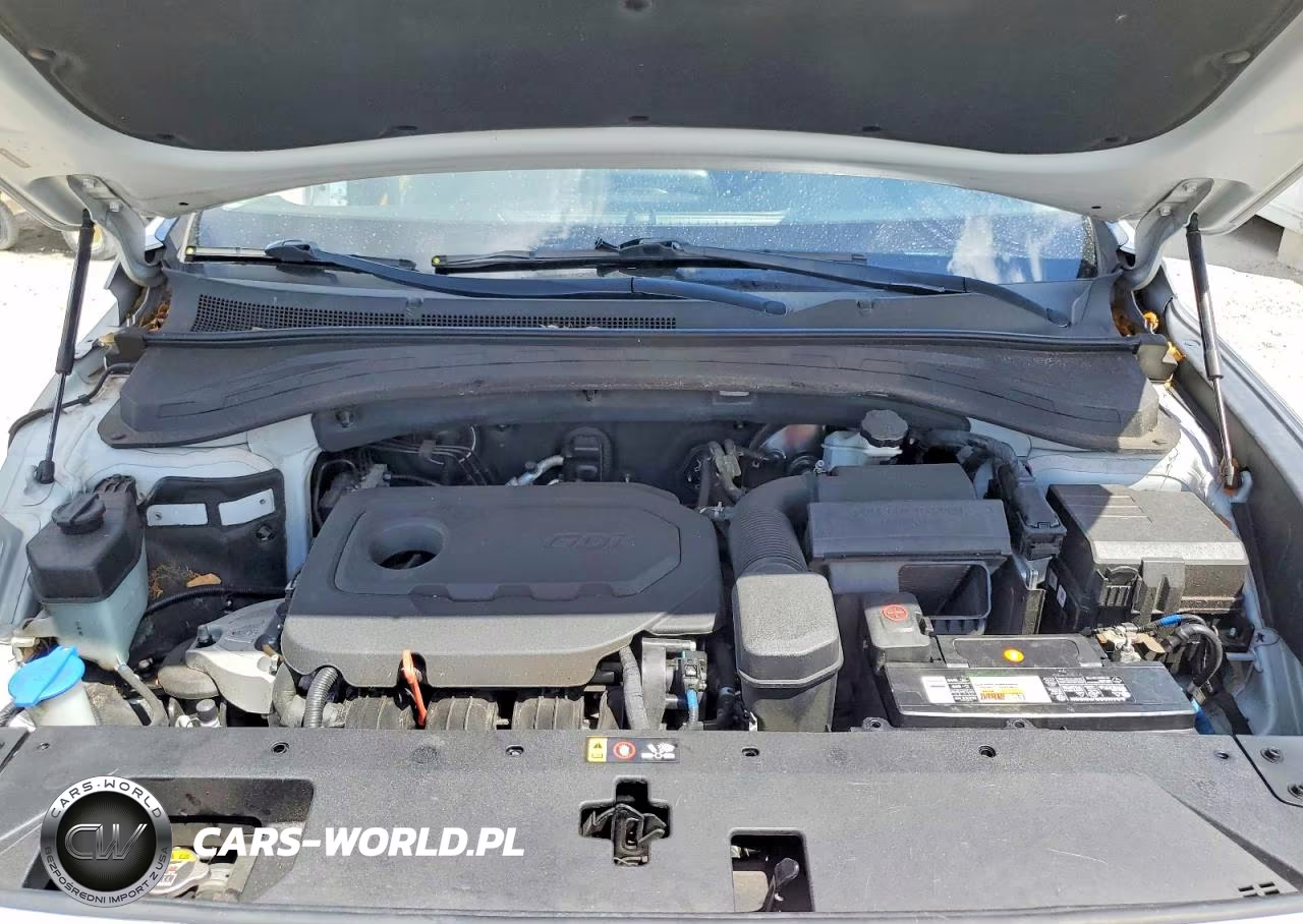 2019 Hyundai Santa Fe Sel 2.4L VIN:5NMS33ADXKH065802 - 12