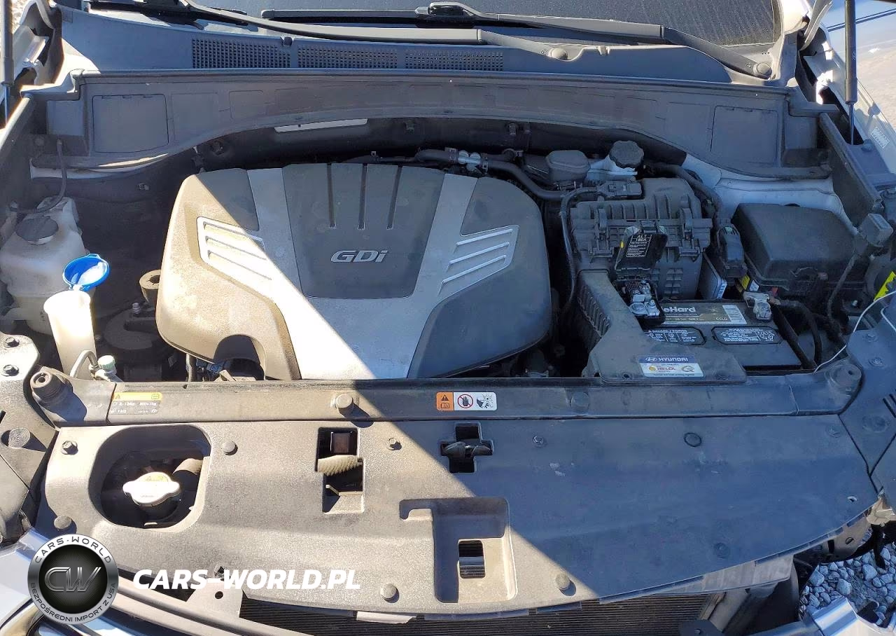 2017 Hyundai Santa Fe Se Ultimate VIN:KM8SR4HF9HU186992 - 12