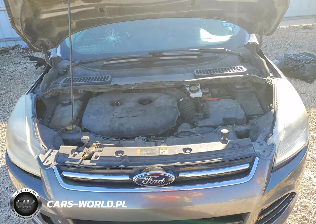 2013 Ford Escape Sel VIN:1FMCU9H91DUB97862 - 12