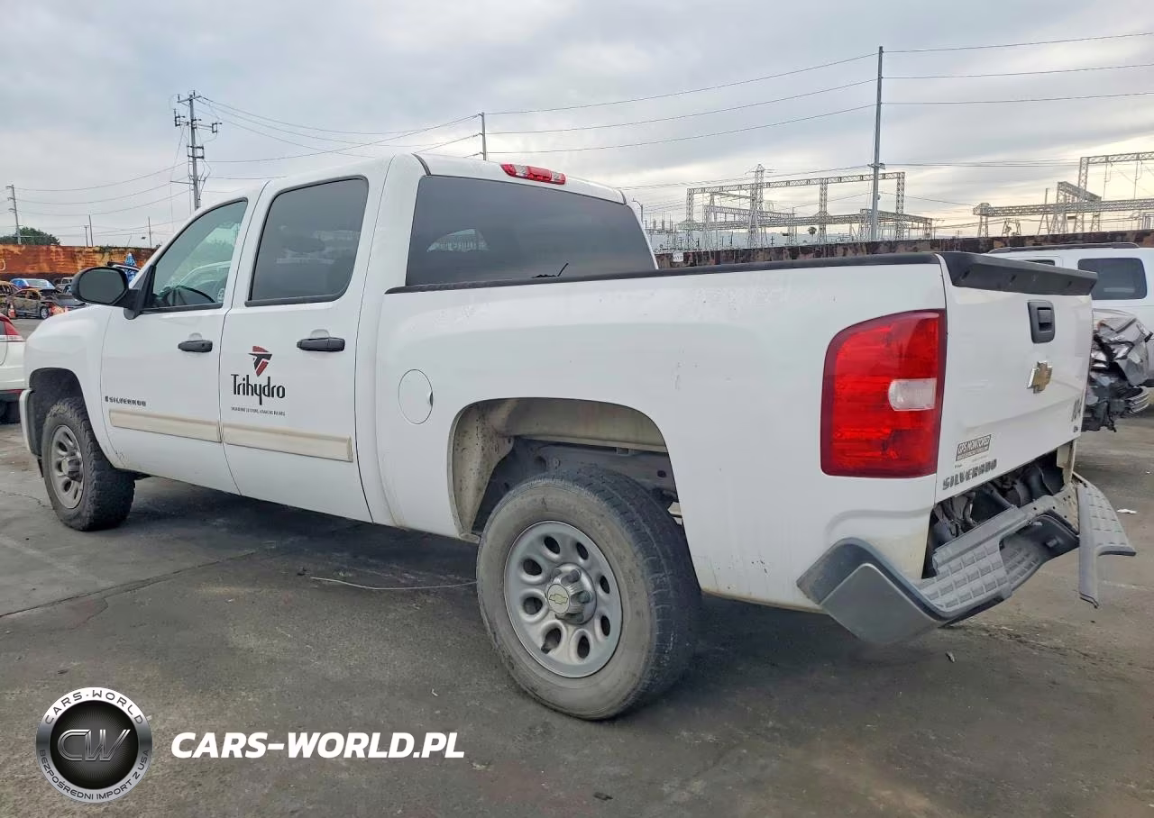 2009 Chevrolet Silverado C1500 VIN:3GCEC13C49G191424 - 2