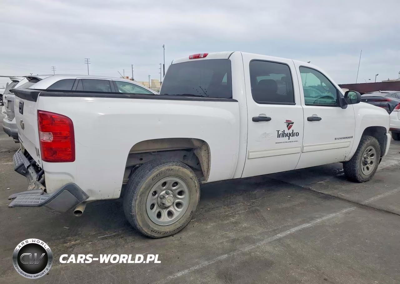 2009 Chevrolet Silverado C1500 VIN:3GCEC13C49G191424 - 3