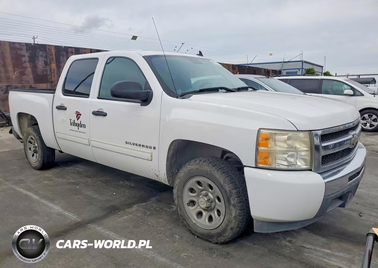 2009 Chevrolet Silverado C1500 VIN:3GCEC13C49G191424 - 4