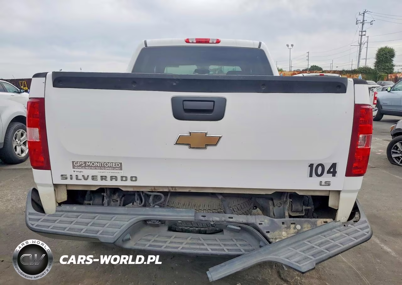 2009 Chevrolet Silverado C1500 VIN:3GCEC13C49G191424 - 6