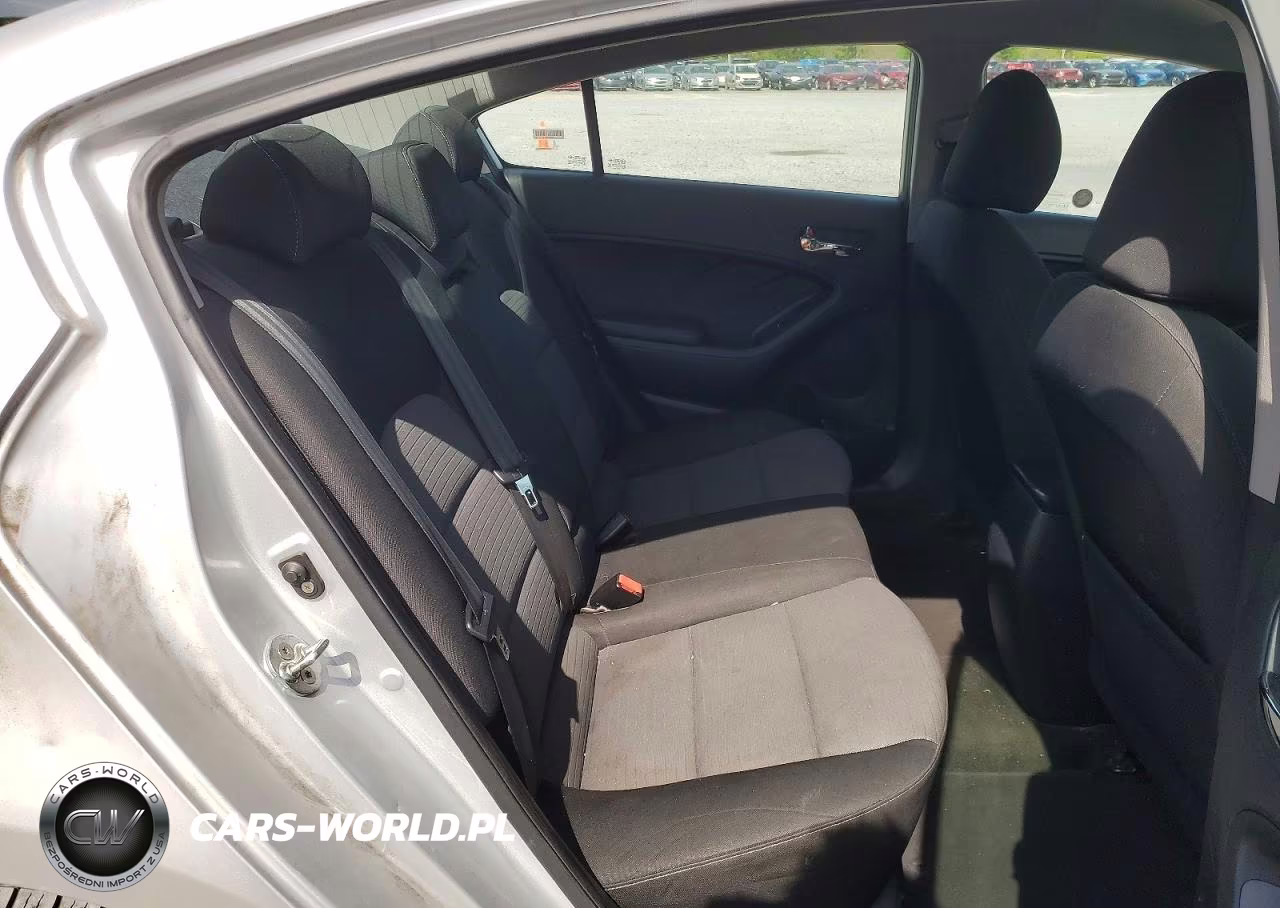 2016 Kia Forte Lx VIN:KNAFX4A68G5503205 - 10