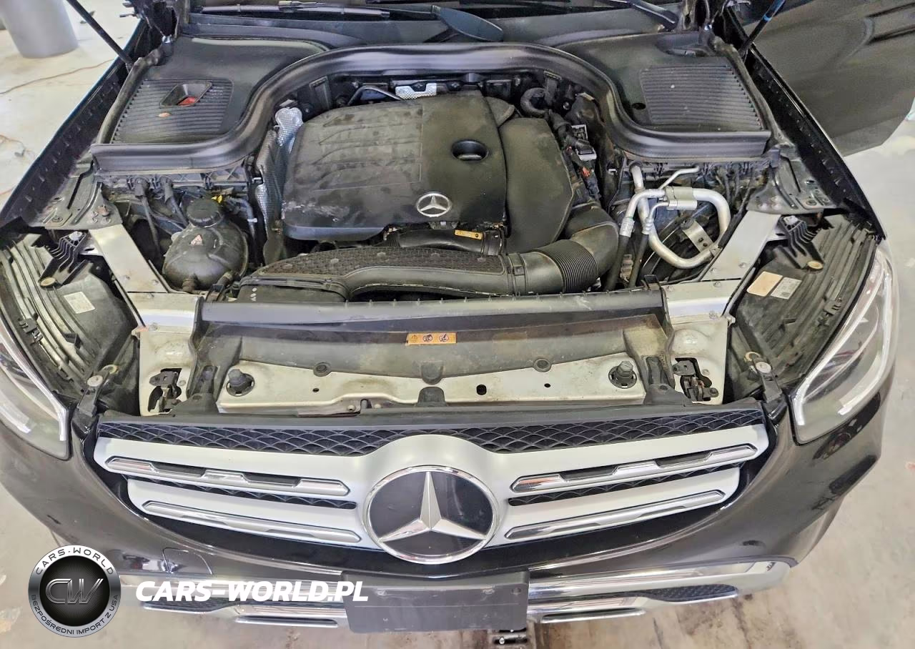 2020 Mercedes-Benz Glc 300 VIN:W1N0G8DB7LF810872 - 12