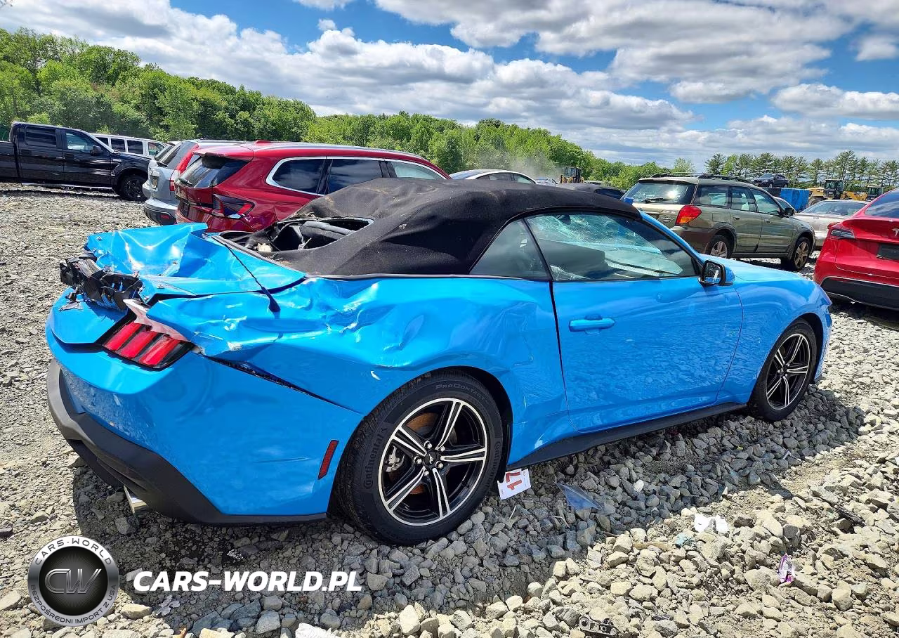 2025 Ford Mustang VIN:1FAGP8UH6S5121443 - 3