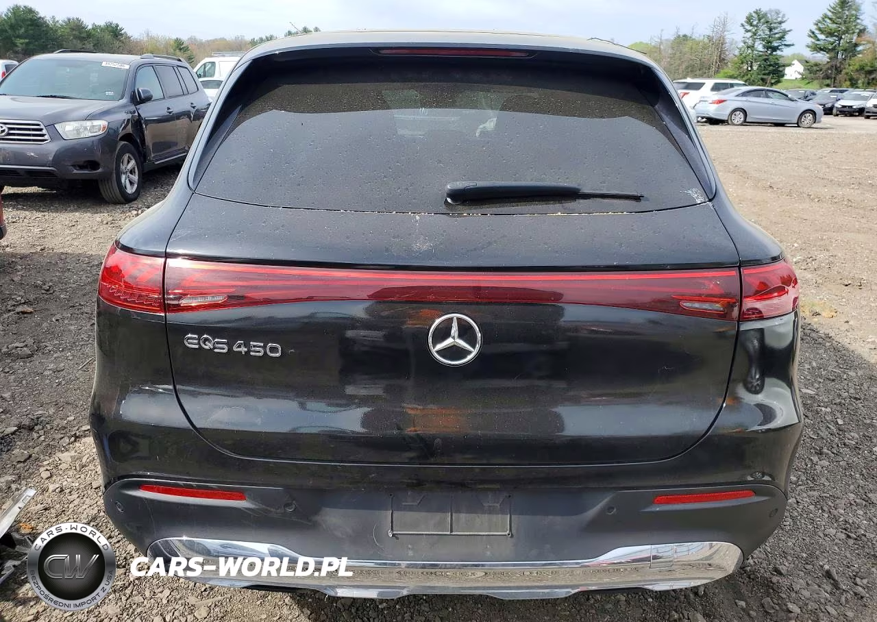2023 Mercedes-Benz Eqs Suv 450+ VIN:4JGDM2DB7PA010568 - 6