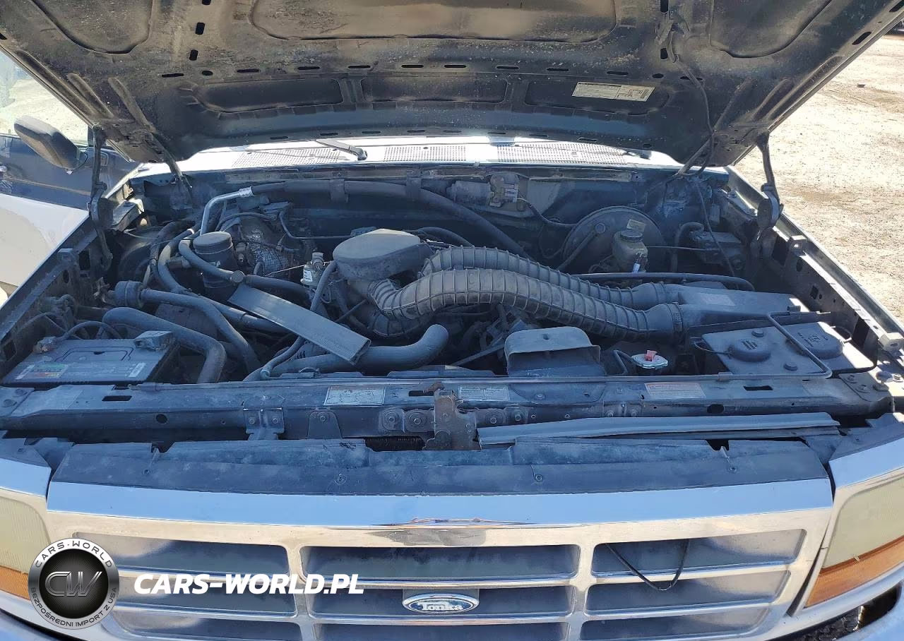 1995 Ford F150 VIN:1FTEX15H8SKA07467 - 11