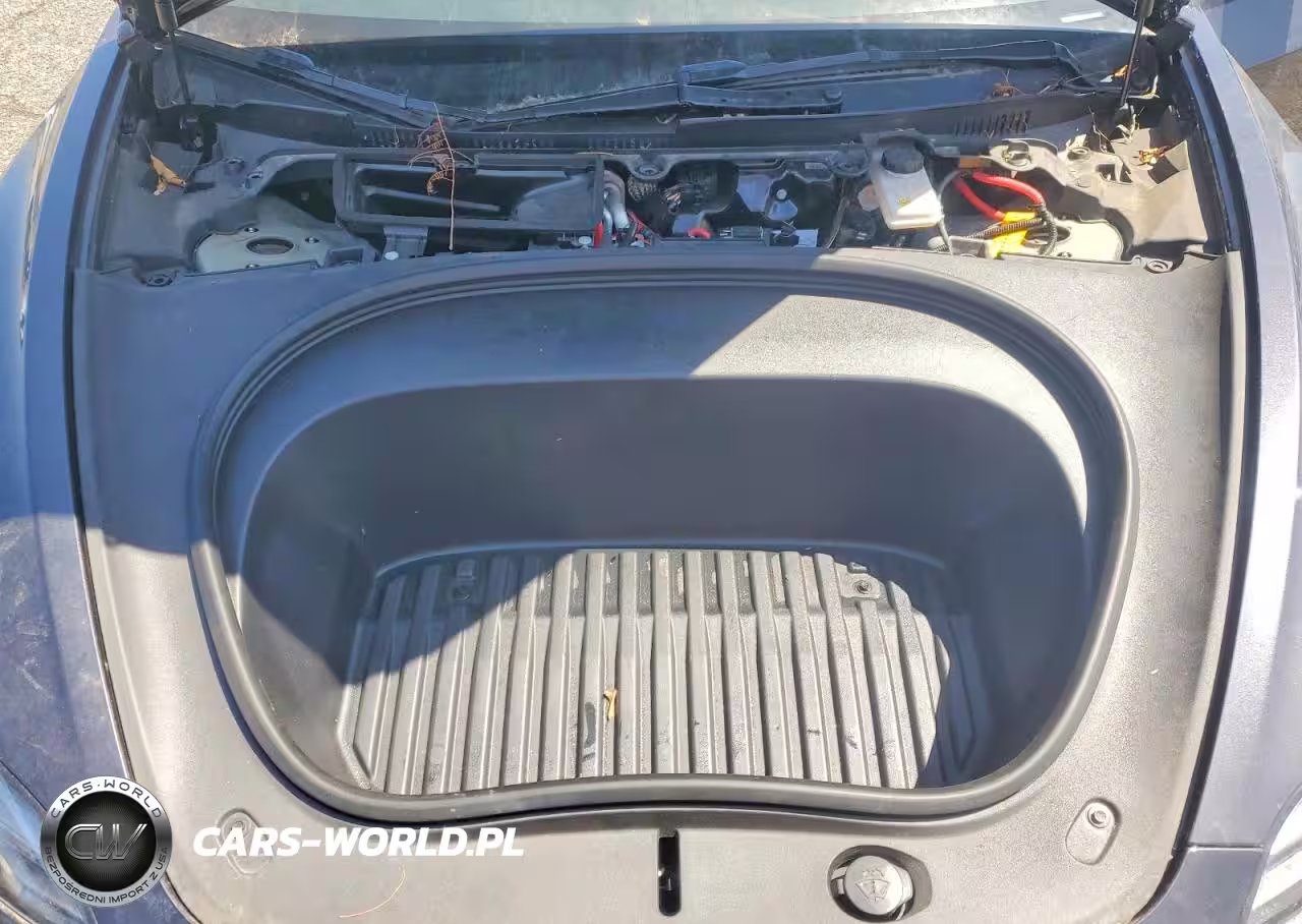 2025 TESLA MODEL 3  VIN:5YJ3E1EA7SF890930 - 11