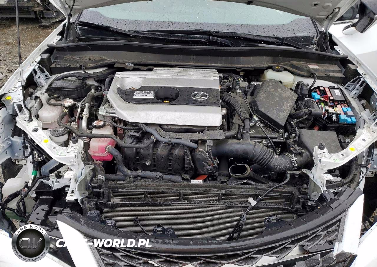 2021 Lexus Ux 250H VIN:JTHR9JBHXM2052105 - 12