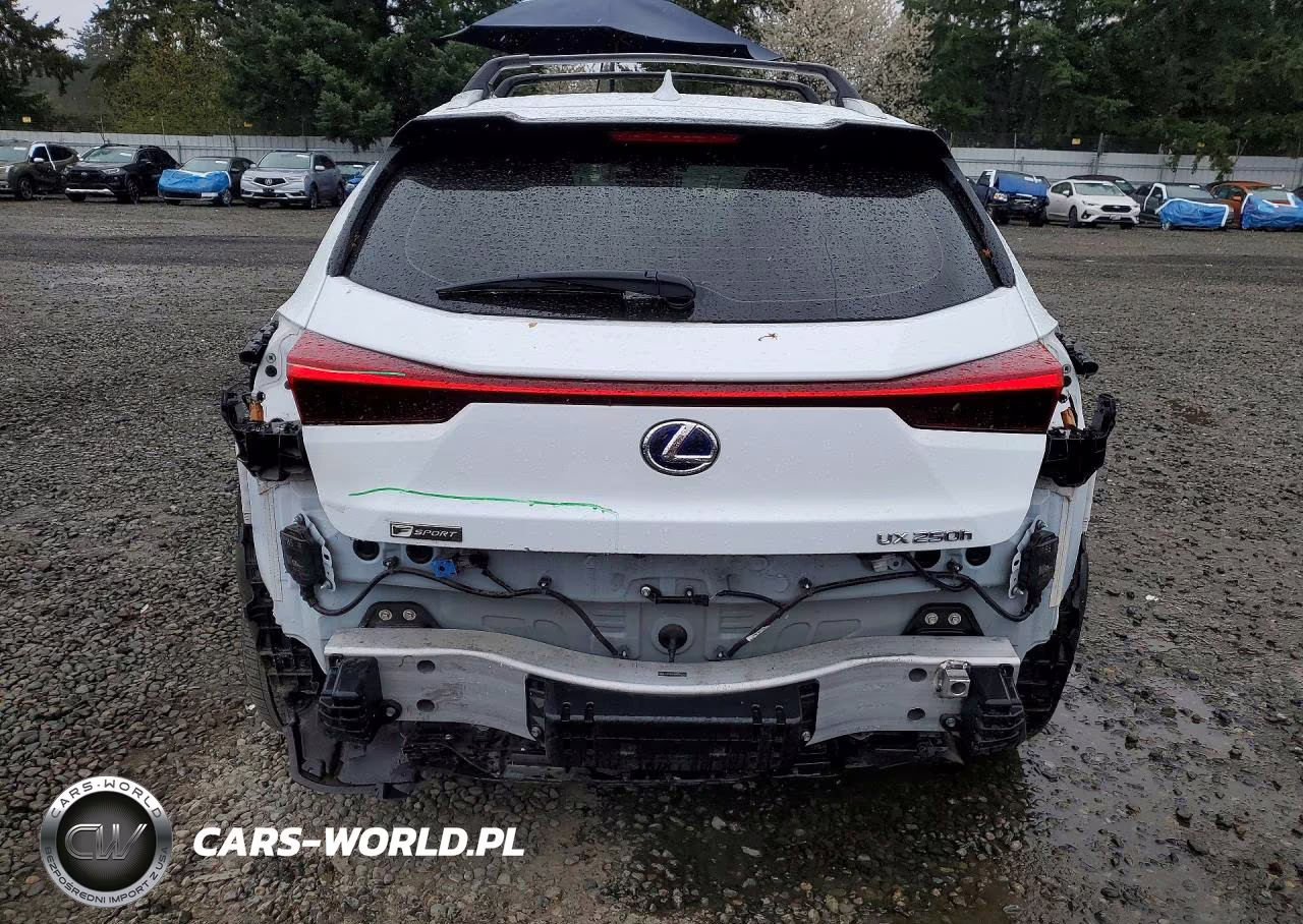 2021 Lexus Ux 250H VIN:JTHR9JBHXM2052105 - 6