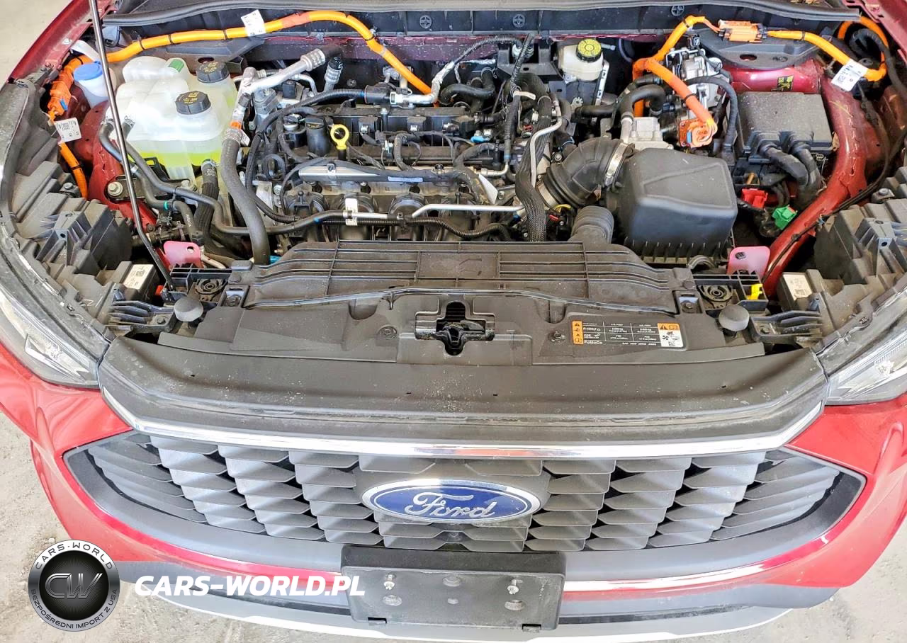 2024 Ford Escape VIN:1FMCU0E11RUB25612 - 12