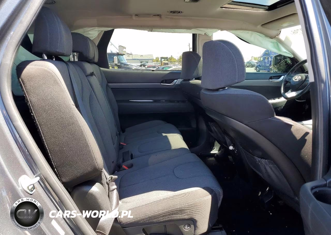 2020 Hyundai Palisade Sel VIN:KM8R34HE7LU139671 - 10