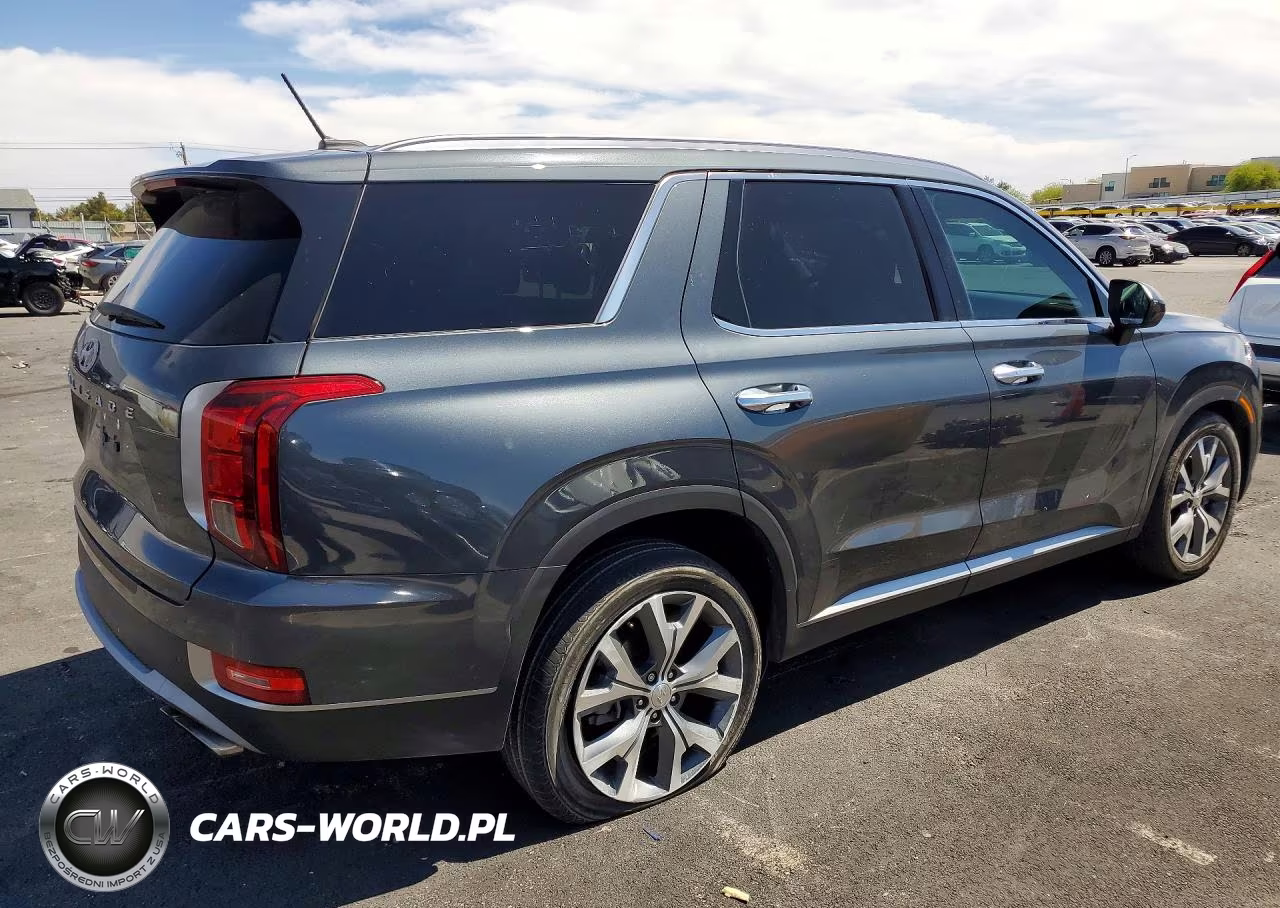 2020 Hyundai Palisade Sel VIN:KM8R34HE7LU139671 - 3