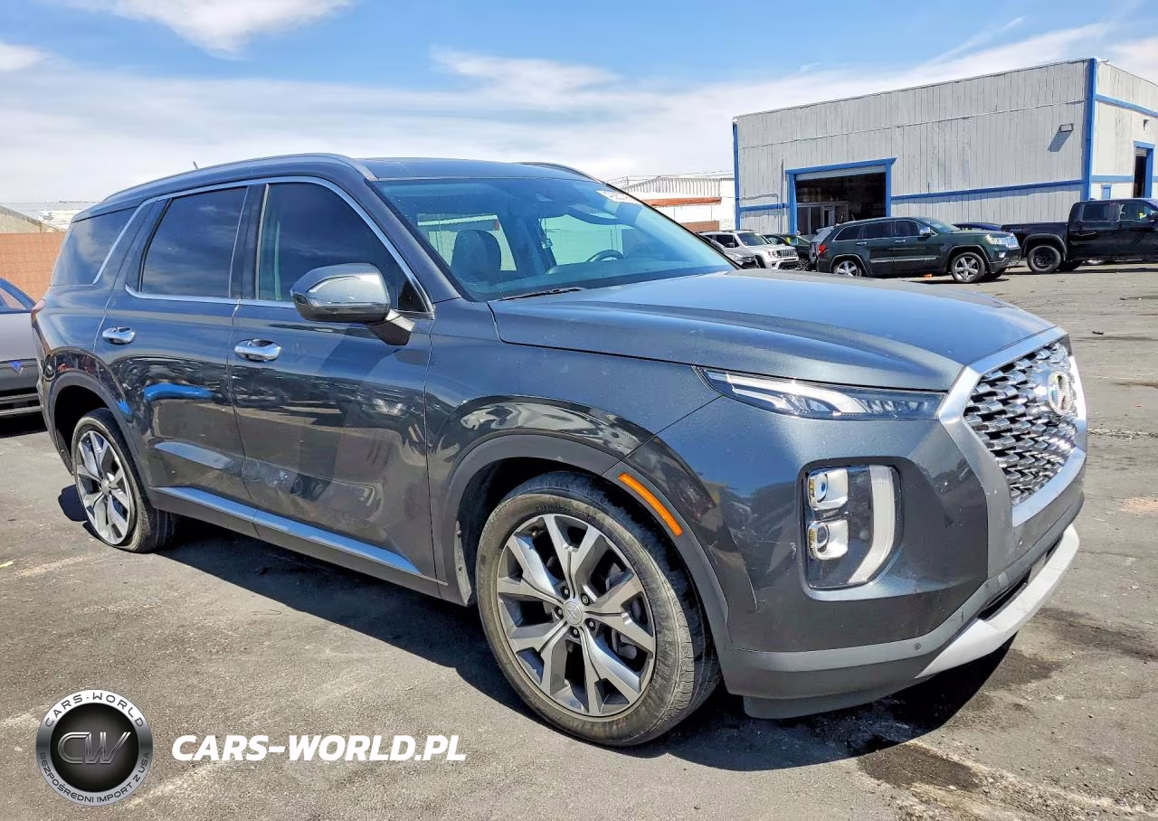2020 Hyundai Palisade Sel VIN:KM8R34HE7LU139671 - 4