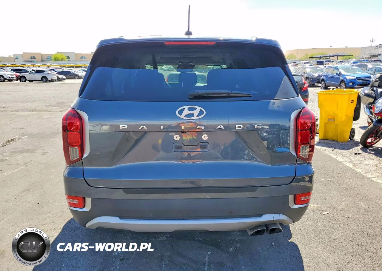 2020 Hyundai Palisade Sel VIN:KM8R34HE7LU139671 - 6