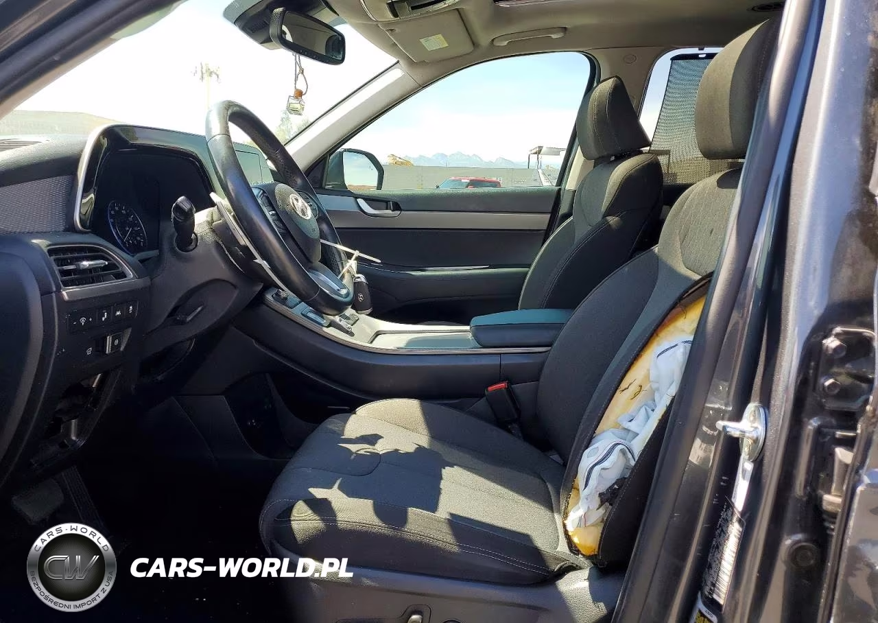 2020 Hyundai Palisade Sel VIN:KM8R34HE7LU139671 - 7