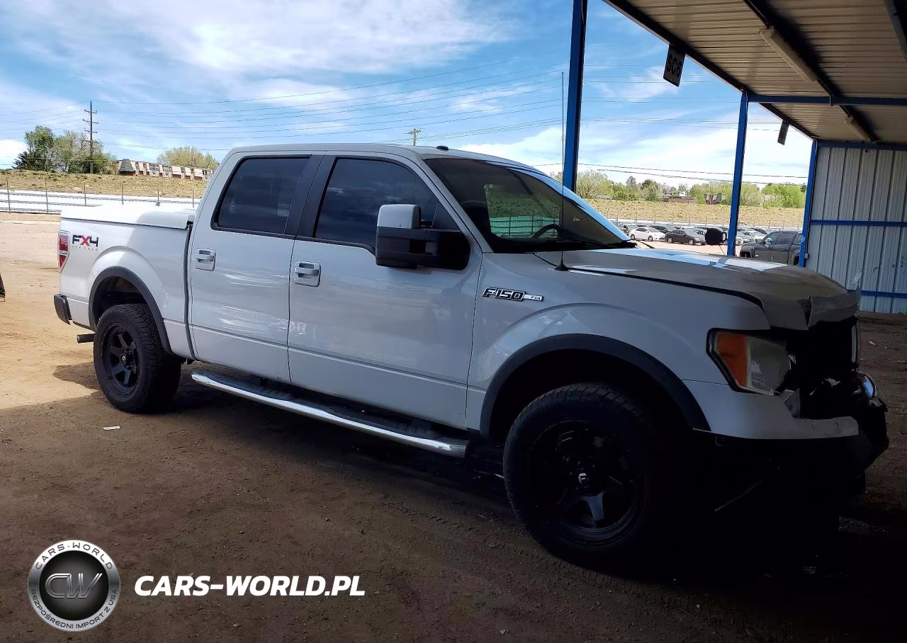 2010 Ford F150 Supercrew VIN:1FTFW1EV2AFB55649 - 4