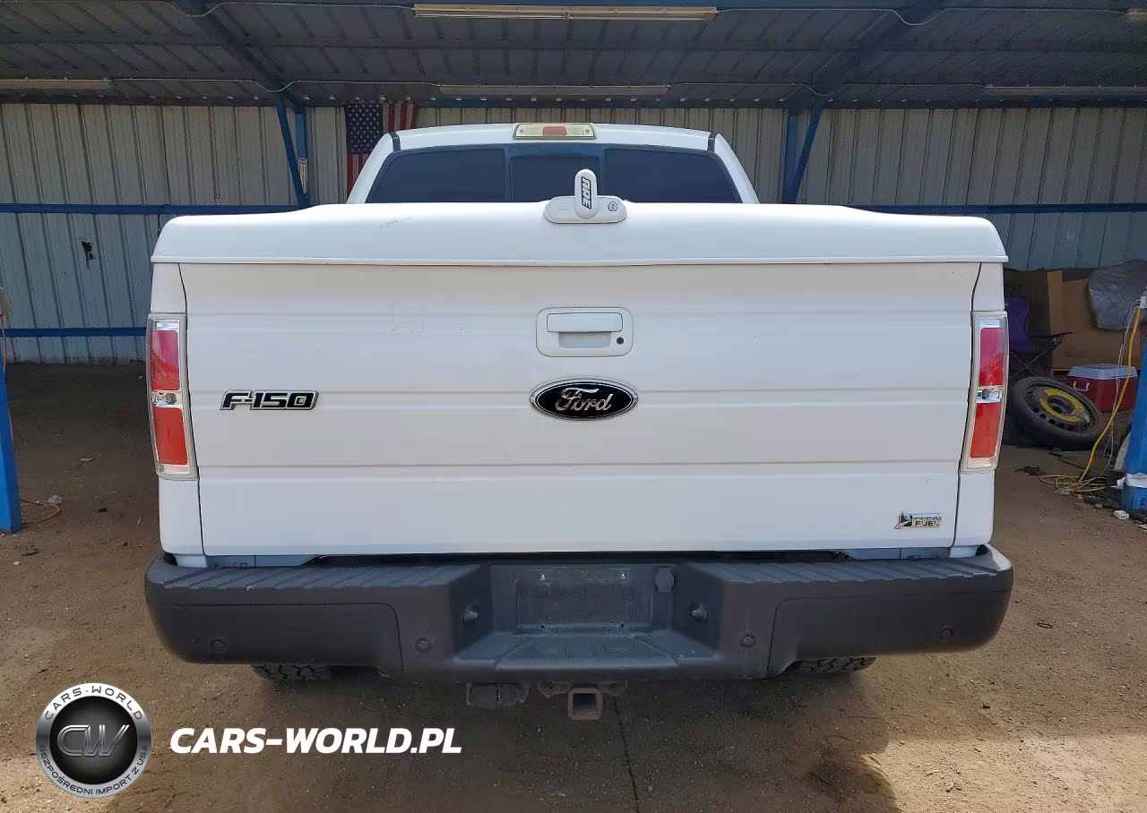 2010 Ford F150 Supercrew VIN:1FTFW1EV2AFB55649 - 6