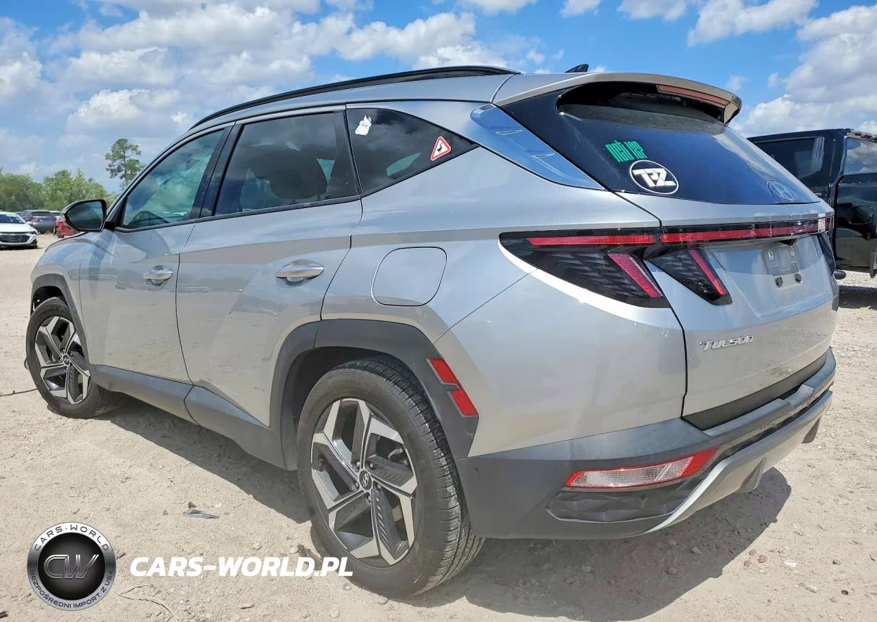 2024 Hyundai Tucson Limited VIN:5NMJE3DE3RH305051 - 2